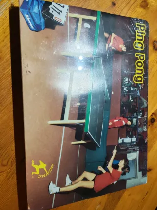 Set Ping Pong Racchette e Palline