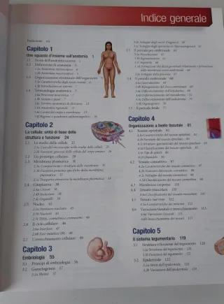 Anatomia Umana