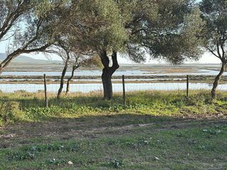 Solar en venta en Vejer de la Frontera