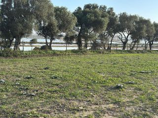 Solar en venta en Vejer de la Frontera