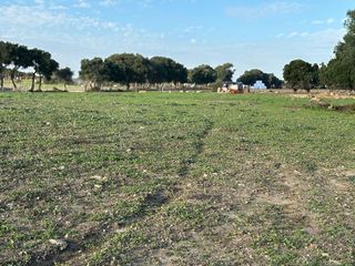 Solar en venta en Vejer de la Frontera