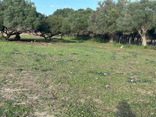 Solar en venta en Vejer de la Frontera