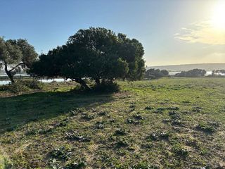 Solar en venta en Vejer de la Frontera
