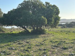 Solar en venta en Vejer de la Frontera