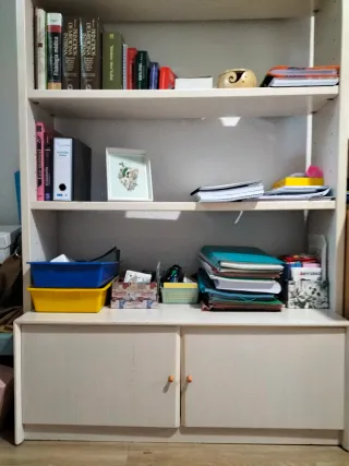 SE REGALA baldas al comprar la estantería