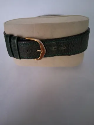 Reloj Diesel Hombre Verde/Plata