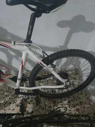 Bicicletas de montaña (2 unidades)