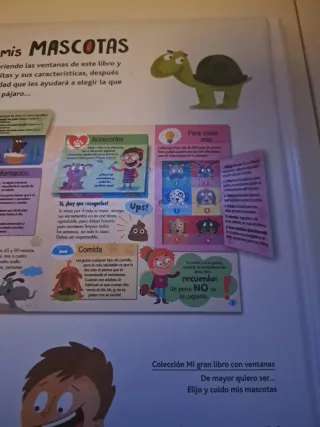 Elijo y Cuido mis Mascotas (Mi Gran Libro con V...