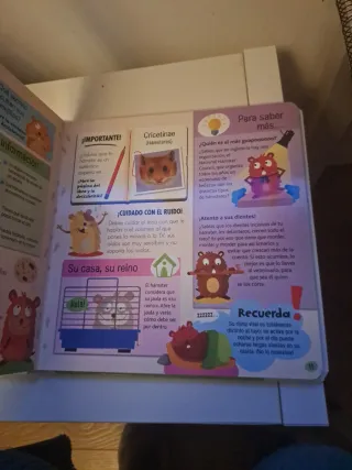 Elijo y Cuido mis Mascotas (Mi Gran Libro con V...