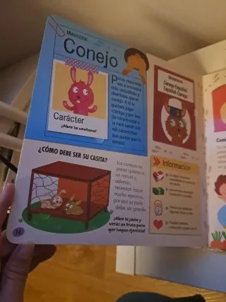 Elijo y Cuido mis Mascotas (Mi Gran Libro con V...