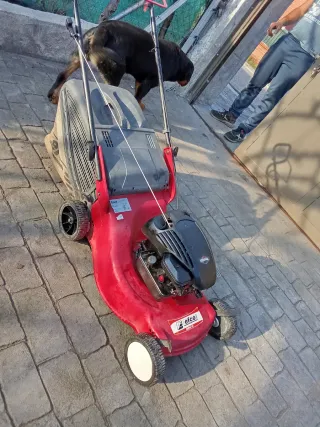 Cortacésped gasolina Efco Serie LR