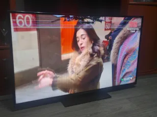 TV Panasonic 55 pantalla rota