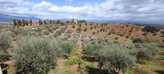 Terreno en venta en Coín