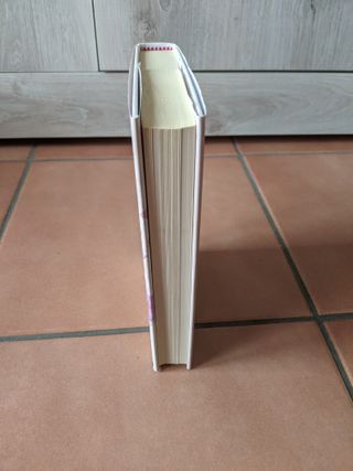 It Ends With Us (versione italiana): Siamo noi ...