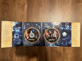 Harry Potter y la Piedra Filosofal DVD Panorámico