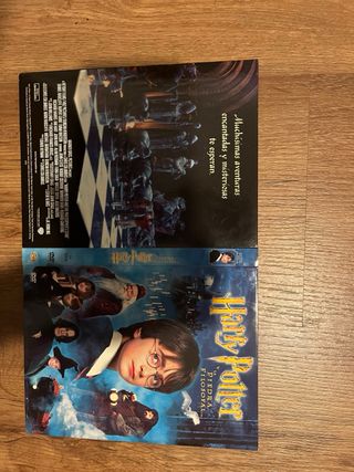 Harry Potter y la Piedra Filosofal DVD Panorámico