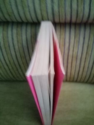 MI  VIDA  ES  CASI  PERFECTA