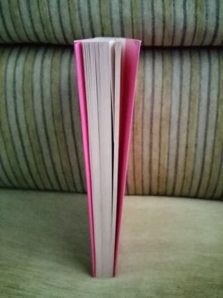 MI  VIDA  ES  CASI  PERFECTA