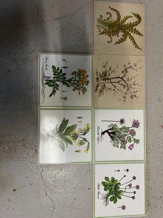 Baldosas decorativas botánicas