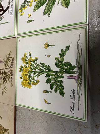 Baldosas decorativas botánicas