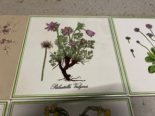 Baldosas decorativas botánicas