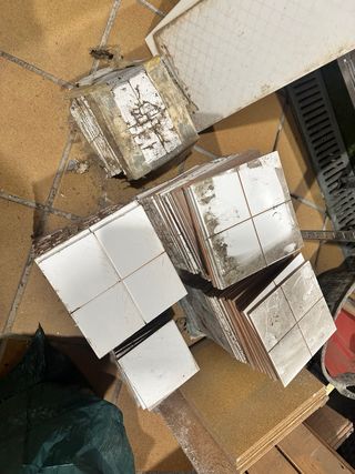 Azulejos blancos 20x20