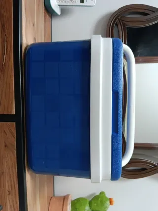 Nevera portátil azul y blanca.16 litros.2 hieleras