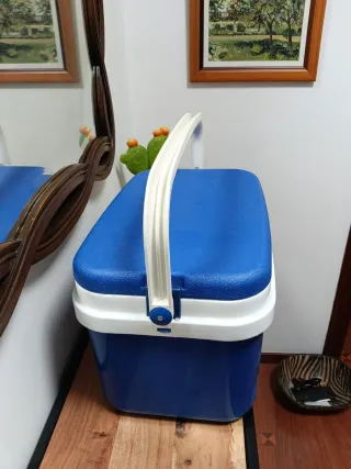 Nevera portátil azul y blanca.16 litros.2 hieleras