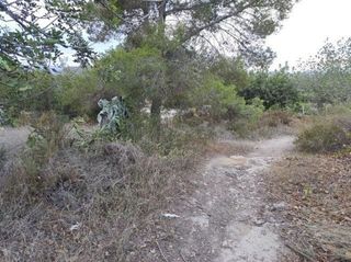 Solar en venta en Monserrat