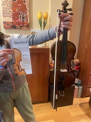 Violín Stentor 1/2 con funda