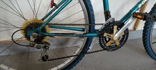 Bicicleta Boomerang Azul