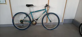Bicicleta Boomerang Azul