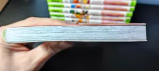 Naruto (1-14) EDICIÓN GLENAT, Estado Coleccionista