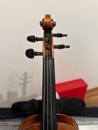 Violino 4/4