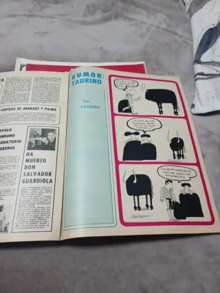 Revista el Ruedo 1972