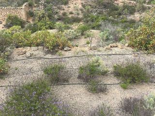 Terreno en venta en Arico