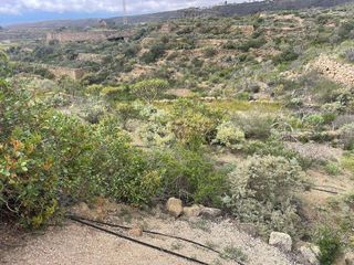 Terreno en venta en Arico