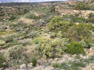 Terreno en venta en Arico