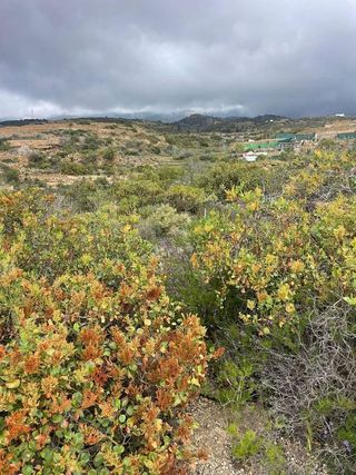 Terreno en venta en Arico