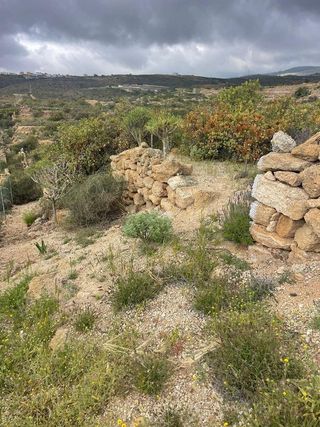 Terreno en venta en Arico