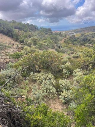 Terreno en venta en Arico