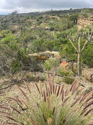 Terreno en venta en Arico