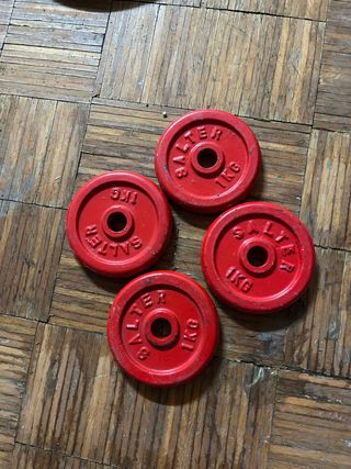 Discos Salter 1Kg (menos de 28mm)