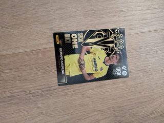 Cromos Fútbol Panini MGH 2024/25