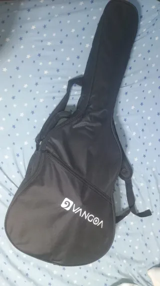 Guitarra y accesorios