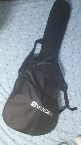 Guitarra y accesorios