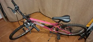 Bicicleta Niña Neon X-Team Pro 24