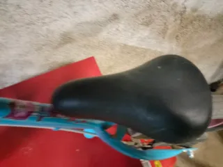 Bicicleta infantil RUNRIDE 500 10