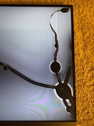 Monitor Samsung Roto