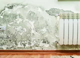 ELIMINAMOS HUMEDAD Y MOHO AL 100%